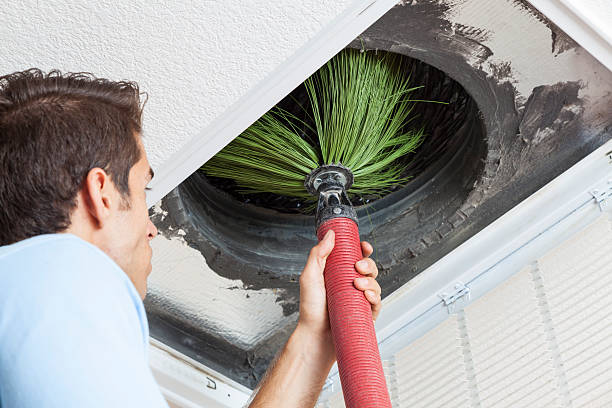 Air Duct Mold Removal in Mount Gilead, NC